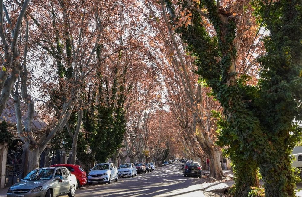 La solicitud firmada por cientos de frentistas está en manos del Consejo Asesor de Patrimonio, que deberá dictaminar. Foto: