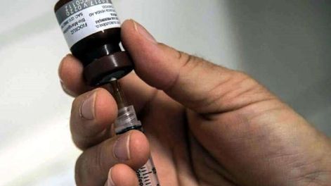 El Gobierno vacunará gratis desde hoy contra la fiebre amarilla a los habitantes de estas provincias.