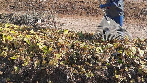Godoy Cruz sigue su campaña de compostaje: cómo se pueden sumar los vecinos
