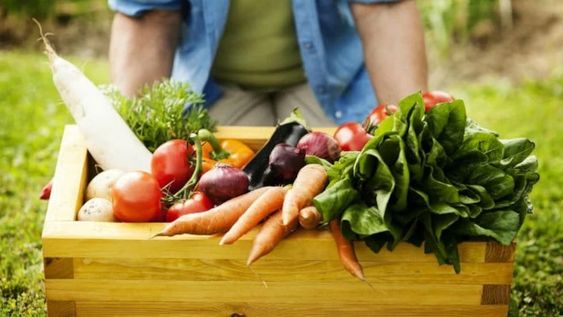 Mendoza tiene una Mesa Provincial de Producción Orgánica, que fomentará la inclusión de un mayor número de productores y aportará herramientas para poder llegar a nuevos mercados.