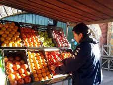 Advierten por baja en el consumo de frutas y verduras y buscan bajar los precios en Mendoza Advierten por baja en el consumo de frutas y verduras y buscan bajar los precios en Mendoza