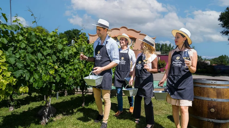 Mendoza fue elegida por la plataforma de turismo Booking.com como una de las cinco regiones vitivinícolas destacadas en el mundo