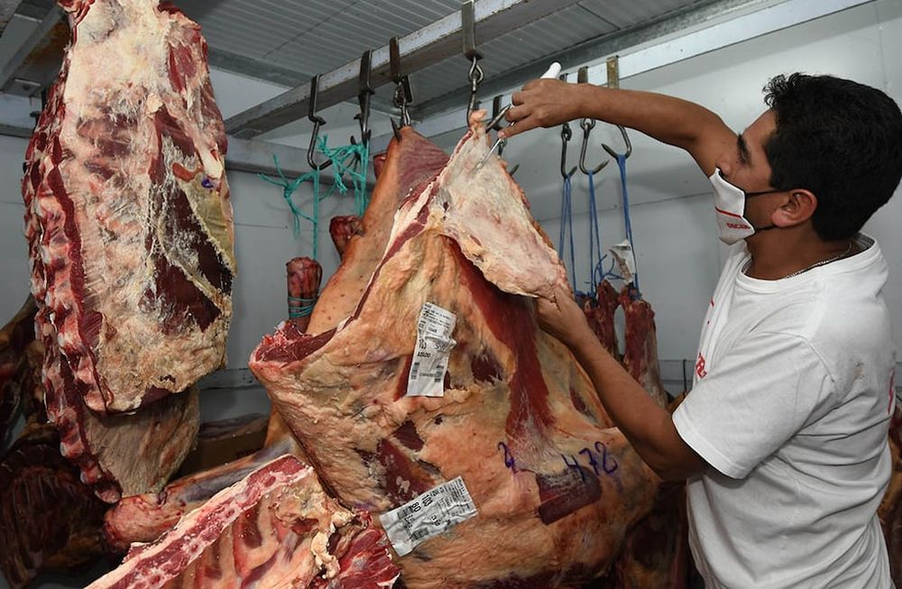 El gobierno provincial analiza el impacto de la restricción a las exportaciones de carne sobre los ganaderos locales. Orlando Pelichotti/Los Andes.