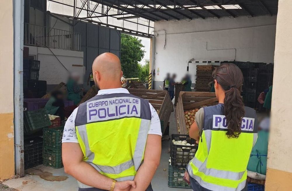 Una empresa de hortalizas les pagaba 1,6 euros la hora por pelar cebollas en España. Se habrían aprovechado de su situación de migrantes e irregulares ante la ley, para obligarlos a limpiar estos vegetales desde la madrugada hasta la noche.
