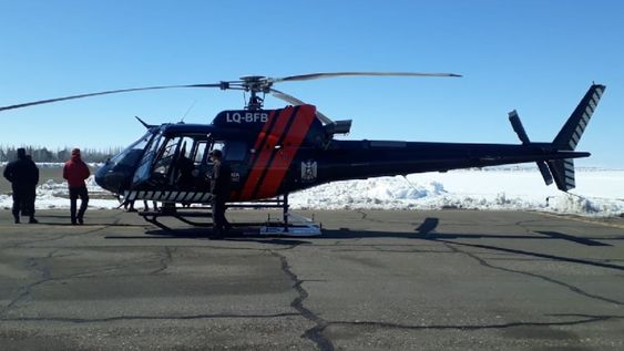 Nevada fatal en Malargüe: un puestero murió aplastado por las ramas con que protegía a sus caballos