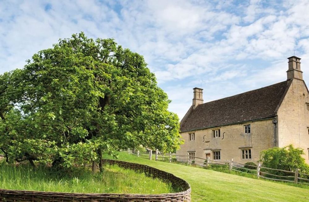 Clonaron el manzano de Newton. Se trata de un proyecto de preservación que busca clonar el manzano que lo inspiró en la creación de la ley de gravitación universal