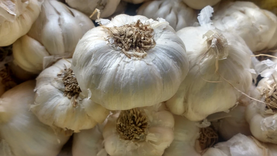 Conservá el ajo en tu hogar con trucos fáciles y útiles para la cocina.