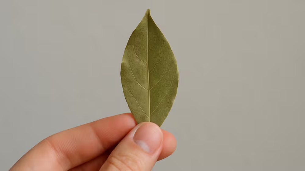 El truco del laurel mejora la limpieza, aporta bienestar y suma armon&iacute;a al hogar.