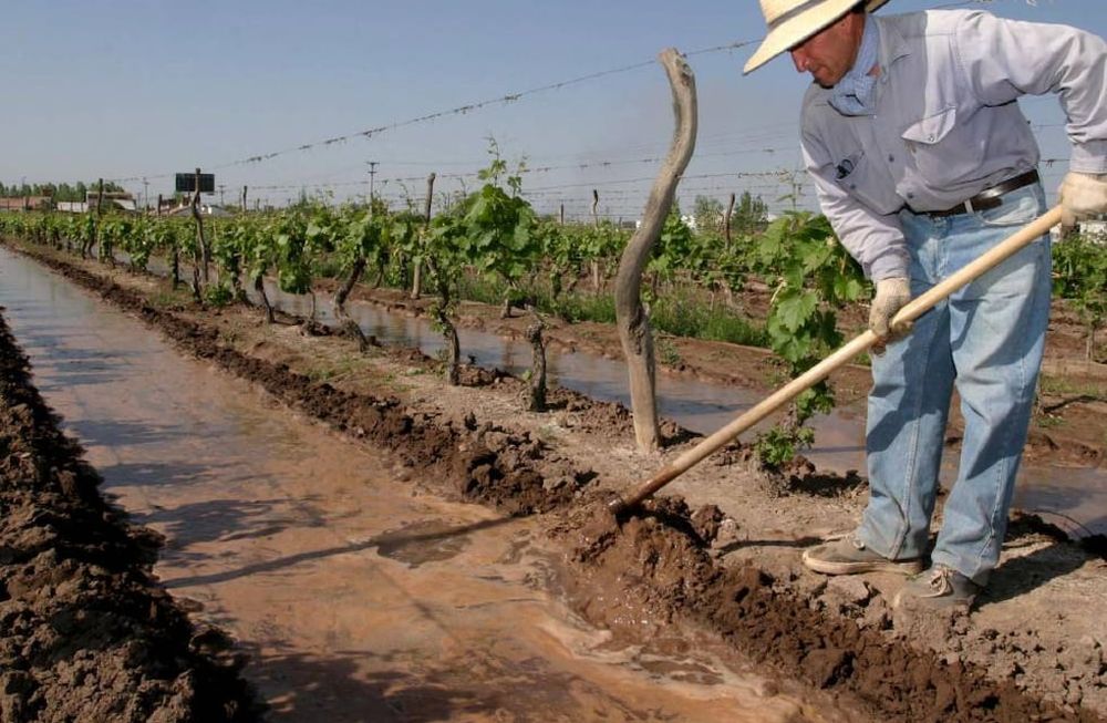 Los productores e industriales mendocinos cuentan con una herramienta para consultar diversos datos de la agricultura mendocina. Foto: Prensa Gobierno de Mendoza