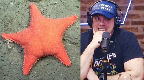 El Gordo Dan criticó al streaming del Conicet