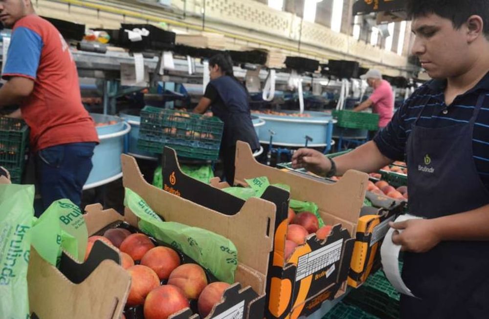 V Ronda de Negocios Argentina - Chile busca potenciar el intercambio comercial en alimentos, bebidas y productos de la agroindustria.