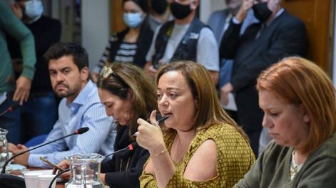 Los Andes | Cecilia Moreau encabeza el debate sobre la ley de alquileres en la Comisión de Legislación General (Foto: HCDN)