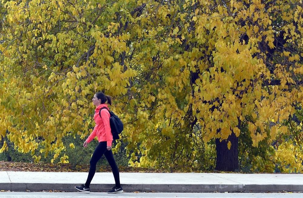 Pronóstico del tiempo en Mendoza para este martes.