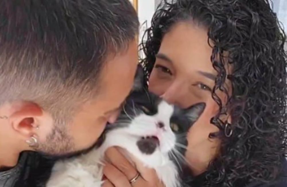 Recorrieron el país tatuando a “El Diego”, pero volvieron a casa para sumar a un tercer pasajero: su gatito. Foto: Instagram @viendoquepinta