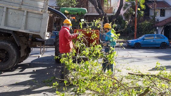Recomendaciones y actividades suspendidas ante el alerta de viento zonda