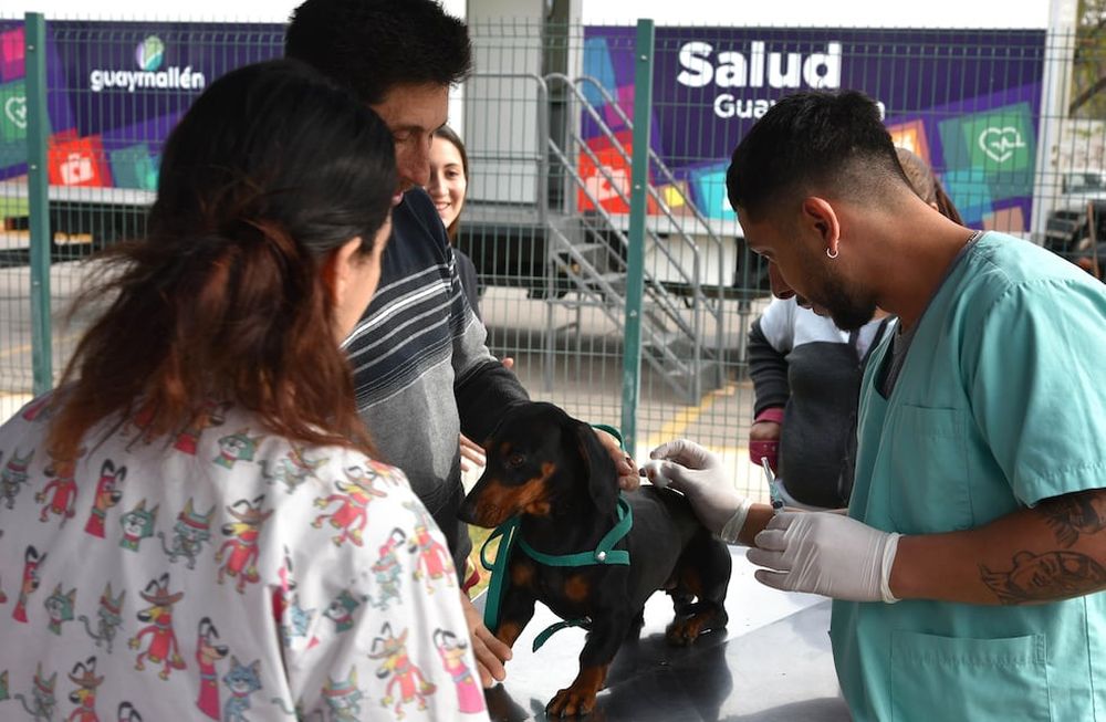 Actividades por el Día Mundial contra la Rabia