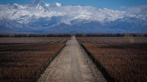 Mendoza, la única provincia Argentina entre las recomendadas por Forbes para visitar en 2021 y en la era post pandemia Foto: Ignacio Blanco / Los Andes