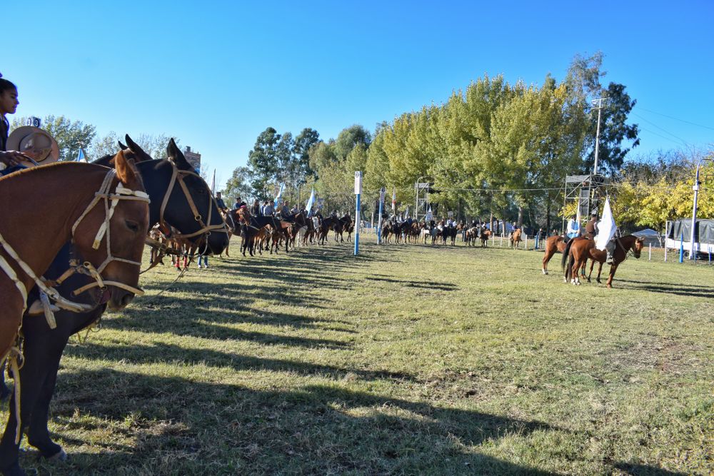 National Livestock Festival.