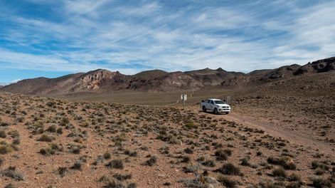 Los Andes | El cuerpo de Guardaparques de la Reserva Natural Villavicencio realiza un atrabajo de conservación y prevención de la cacería ilegal. Foto: Ignacio Blanco / Los AndesZorro