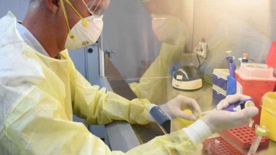 Elaboran 41 vacunas contra el coronavirus y ya están en fase de prueba