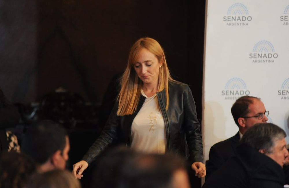Murió el sobrino de la senadora Anabel Fernández Sagasti. / Foto Federico Lopez Claro