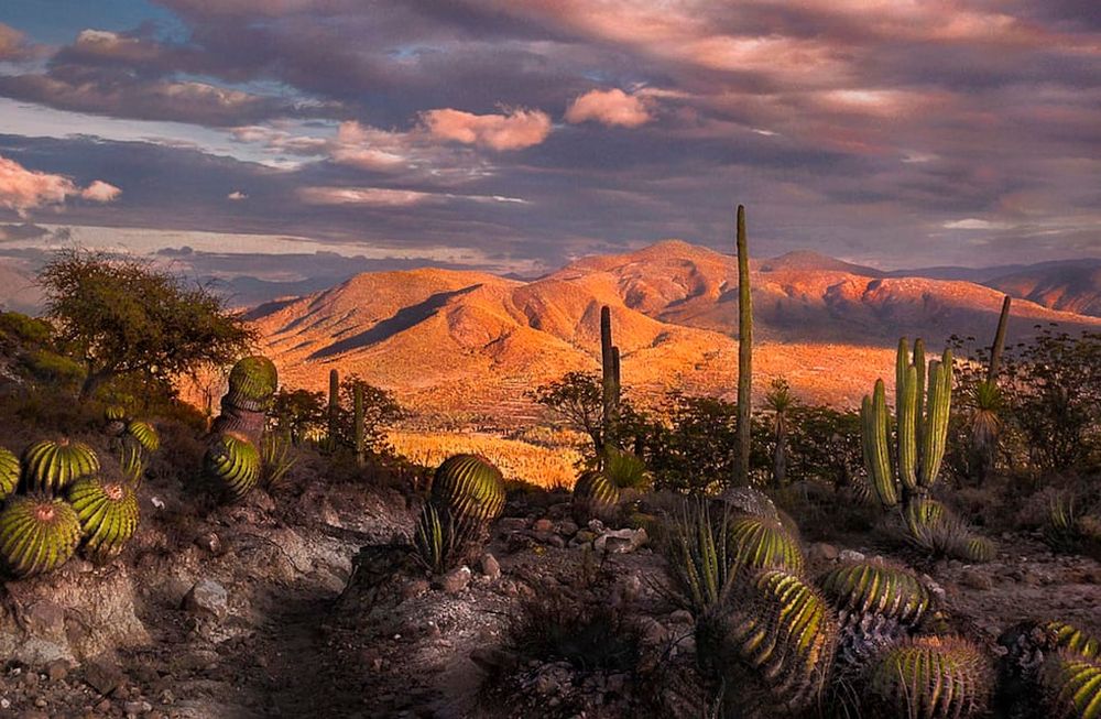 Maravillosos sitios de México, Colombia y España serán Patrimonio de la Humanidad