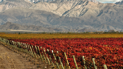 Las ferias internacionales como Vinexpo son lugares especiales para la promoción del vino argentino