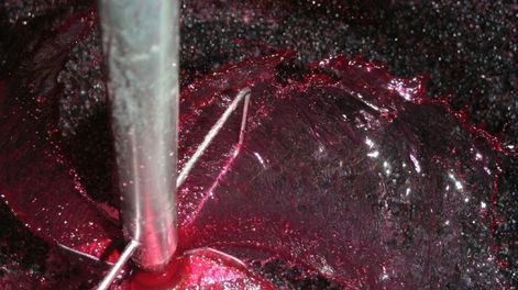 La Cámara Argentina de Vinos a Granel destaca que el Cabernet argentino ofrece desde opciones accesibles hasta ejemplares de alta gama.