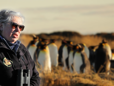 Cecilia Durán Gafo: de maestra a protectora de pingüinos.&nbsp;