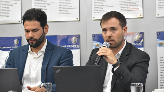 La Cámara de Diputados comenzó a analizar la DIA de PSJ Cobre Mendocino en plenario de comisiones, con el equipo técnico del Ministerio de Energía y Ambiente