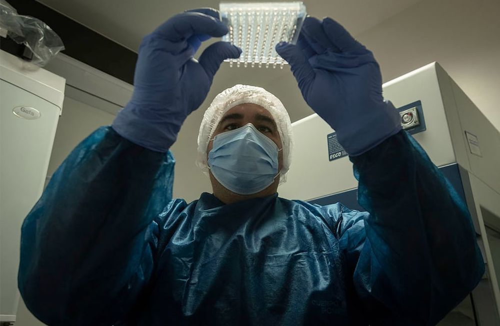 Detectives de ADNEl Laboratorio de Huellas Genéticas que tiene la provincia de Mendoza, fué clave para resolver los últimos femicidios que se produjeron en la provincia. El laboratorio una el sistema CODIS que es el mismo que usa el FBI Foto: Ignacio Blanco / Los Andes