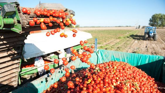 Expoagro 2020: qué financiamientos y descuentos especiales ofrecen los bancos para los productores