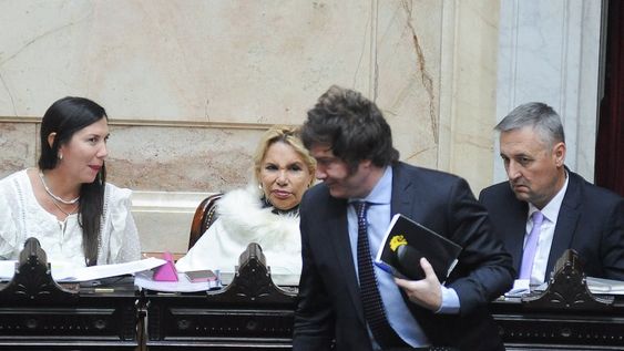 Javier Milei deberá conseguir los votos para aprobar el primer Presupuesto de su gestión (Foto: Federico López Claro)
