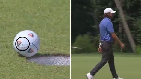 Una mosca le hizo ganar U$S 2 millones en un partido de Golf.