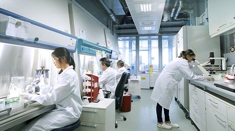 Los Andes | SVYTQGPNWZDZXMQ7NKZ46KYNBY.jpg?quality=75&smart=true&auth=b3ec38e723a73df6b2bfe41d293b58dba8d3f39f9f373b8fc0b8f3e619ddd70c&width=980&height=640