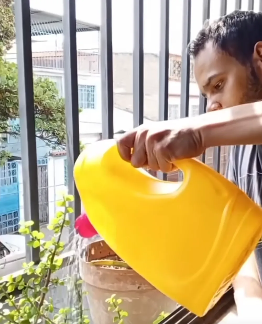Un jardinero mostró como transformar una botella de lavandina para dar solución al jardín. 