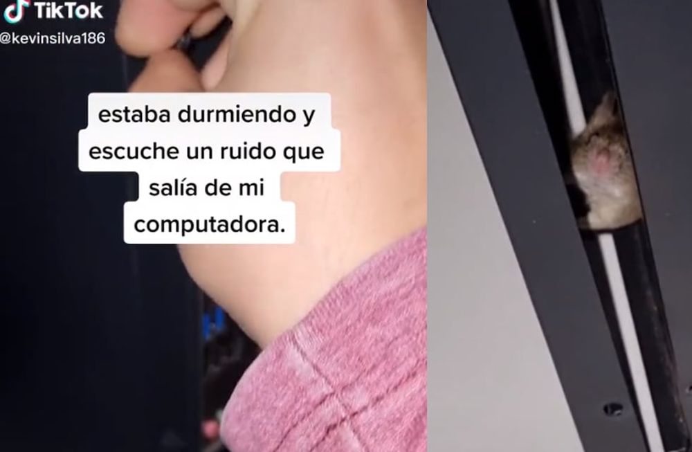 Mi suposición es que el ratón ingresó a través de la ranura que dejó esa tarjeta gráfica y quedó atrapado”, se animó a concluir Kevin en su video. Foto: capturas @kevinsilva186