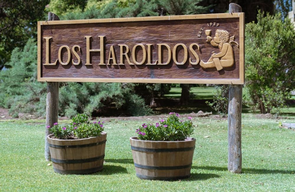 Bodega Los Haroldos
