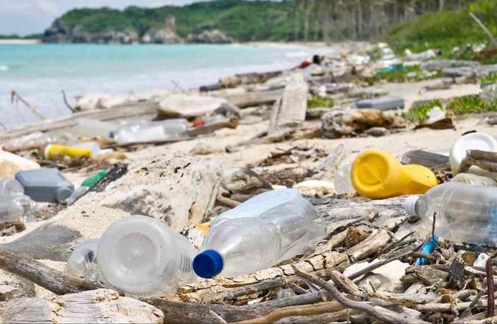 El hombre ha sido responsable por la invasión de plásticos en los mares pero también quien está buscando soluciones al problema.