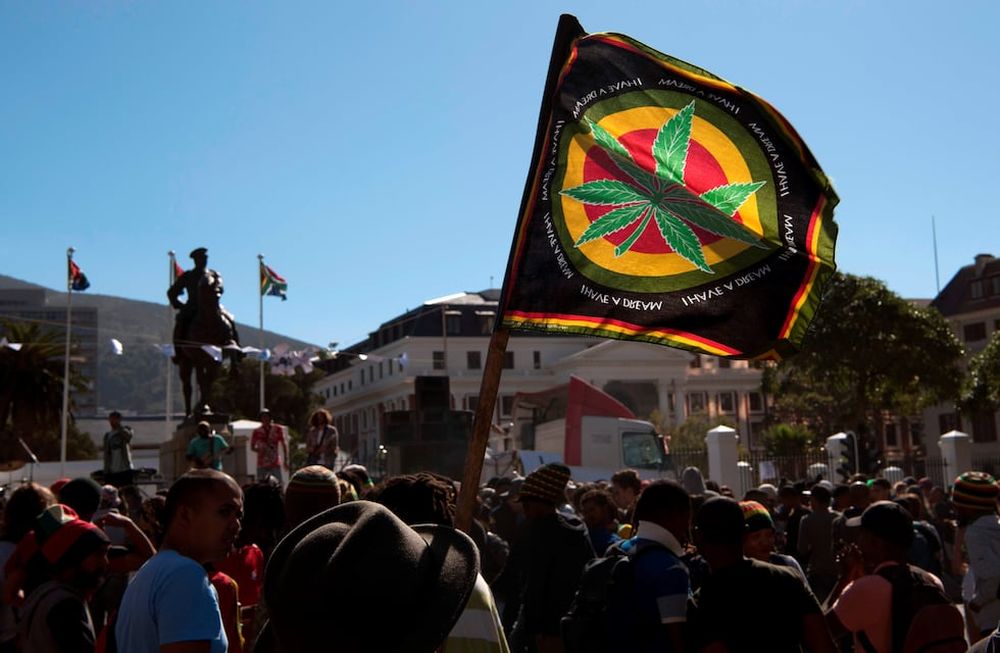 Sudáfrica se suma a la lista de países que legalizan el cannabis