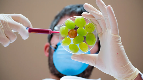 Lanzan un premio de $15 millones para proyectos para la industria de alimentos