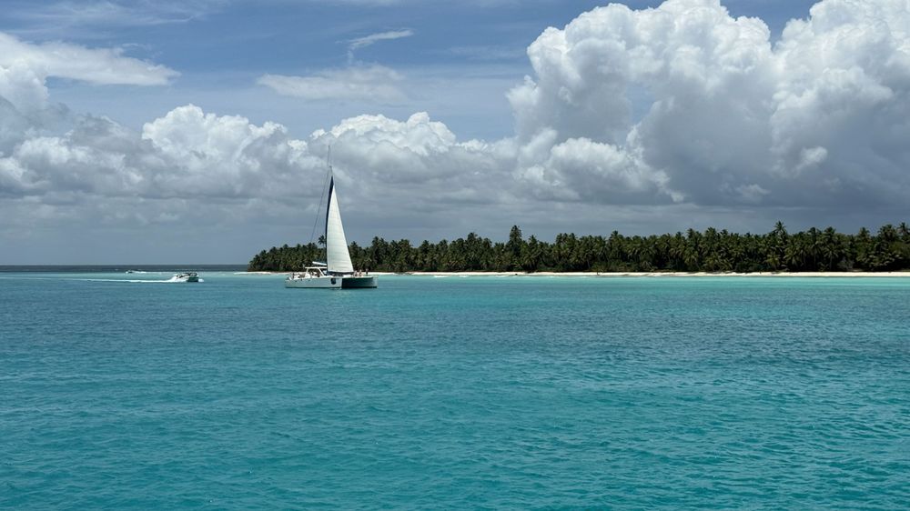 Las aguas turquesas y las palmeras inclinadas convierten a Isla Saona en una de las postales más famosas de República Dominicana.