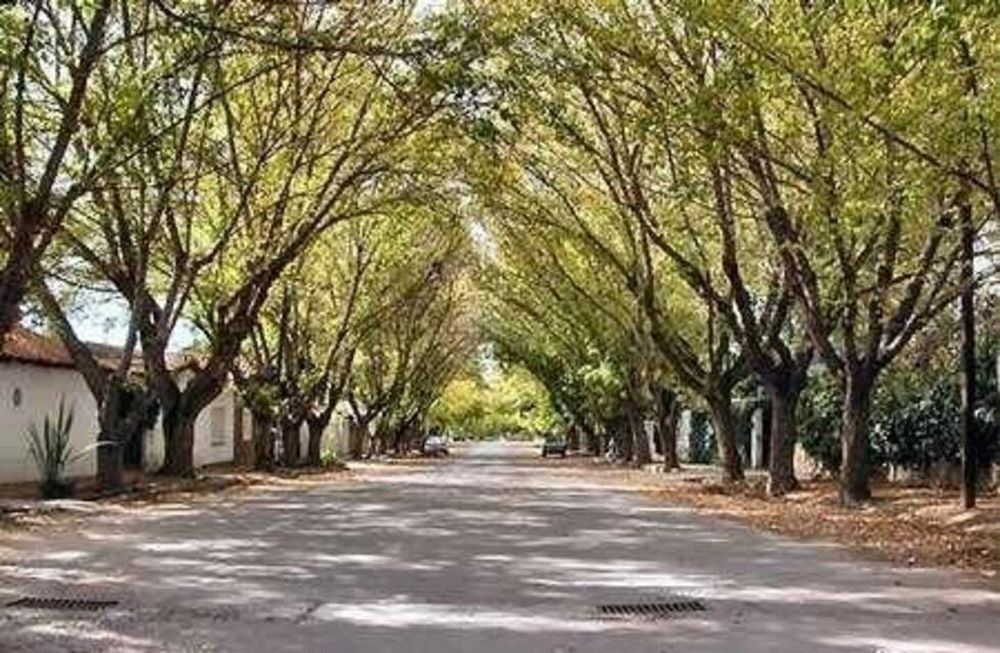 Un destino de Mendoza fue elegido como el segundo lugar más hospitalario de Argentina