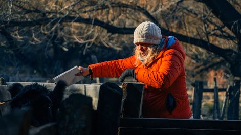 La Patagonia puede ser un territorio clave para la lucha contra el cambio climático