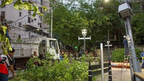 Se quebró un árbol en la Peatonal y una de las mitades quedó suspendida en los cables de luz, eñ peso del tronco arrastró al poste de luz que está llegando a la esquina.Foto: Mariana Villa / Los Andes