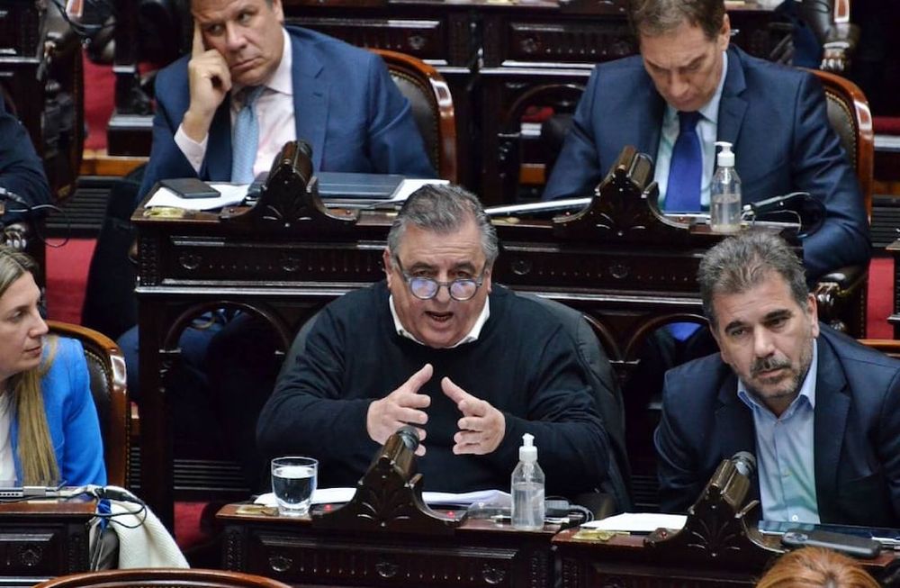 El jefe del bloque de diputados radicales, Mario Negri (Foto: Prensa Juntos por el Cambio)