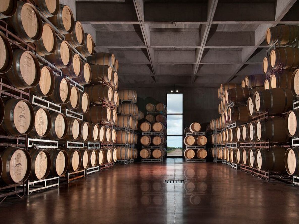 La calidad de los vinos de bodega Séptima dirá presente en la feria de Guarda14