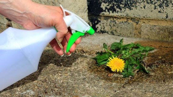 Es una alternativa práctica para mantener limpio de malezas el piso exterior.