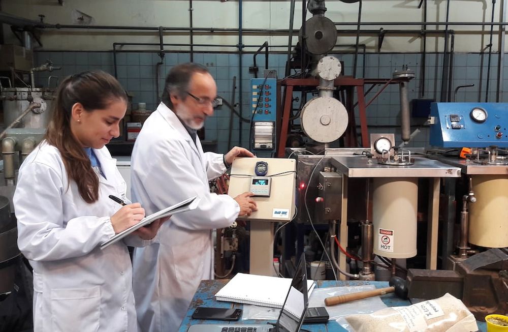 La biomasa aparece como alternativa al uso de combustibles fósiles y en biorefinerías se hacen tratamientos físicos, químicos y biotecnológicos para obtenerla.