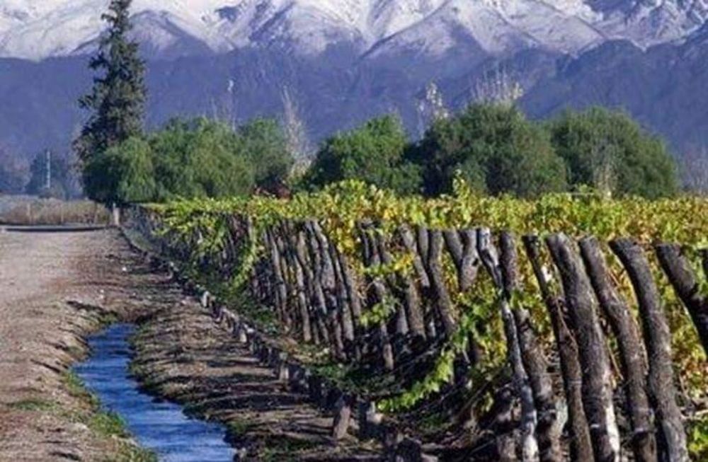 Mendoza necesita ordenar en un código sus leyes de aguas